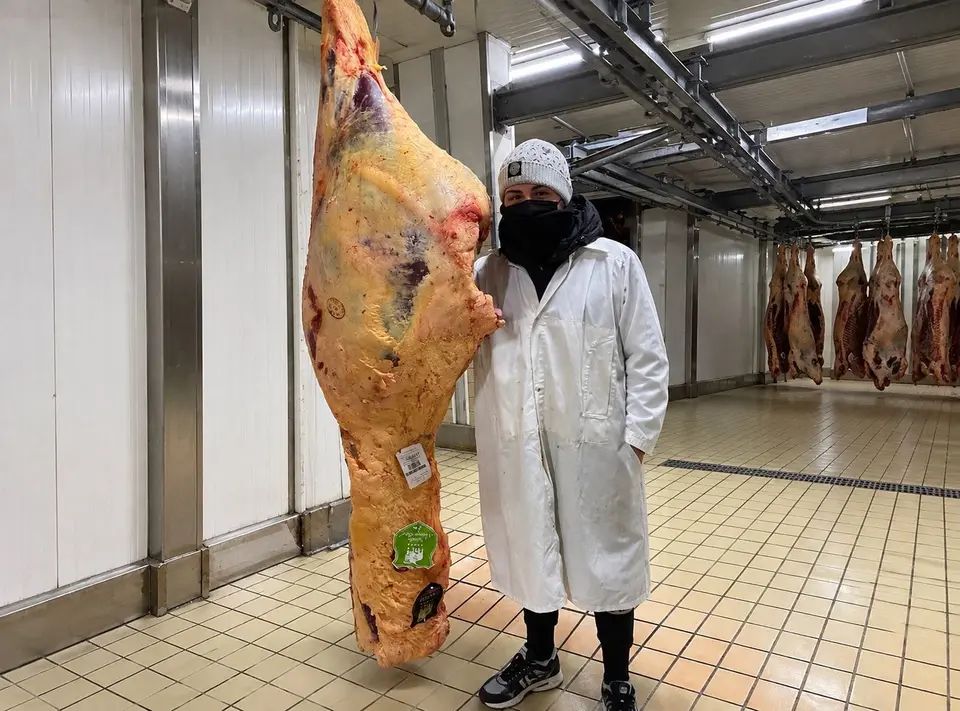 Una mezzena di Nordic Nature Beef appesa in cella, accanto al macellaio in camice bianco; sullo sfondo altre mezzene appese